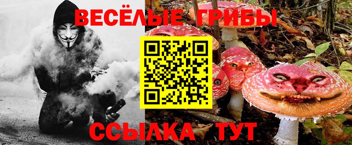 Псилоцибиновые грибы GOLDEN TEACHER  хочу   Ижевск  Вход с VPN 